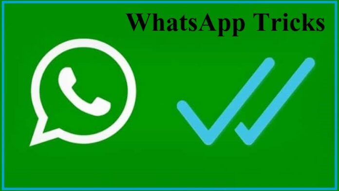 How to Check WhatsApp last seen if hidden - WhatsApp Tips